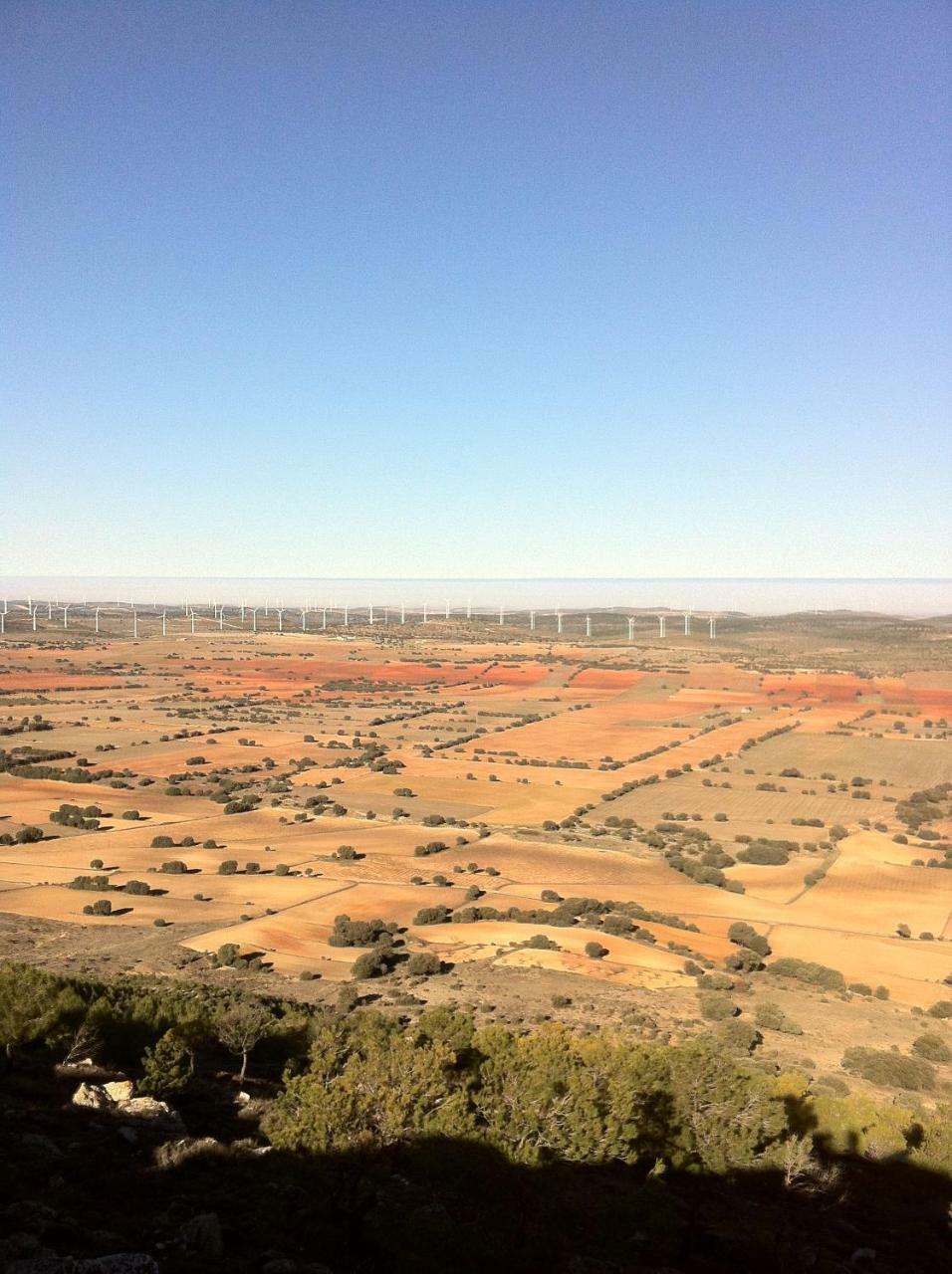 La Posada De Higueruela Buitenkant foto